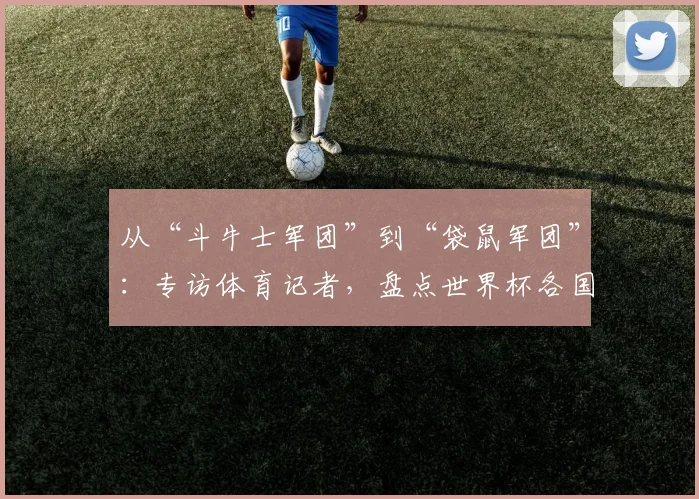 从“斗牛士军团”到“袋鼠军团”：专访体育记者，盘点世界杯各国绰号的趣味与渊源
